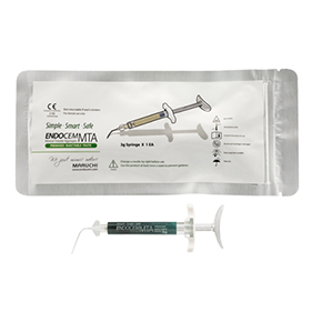 エンドセム MTA premixed