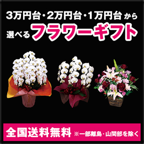 FEEDフラワーギフト