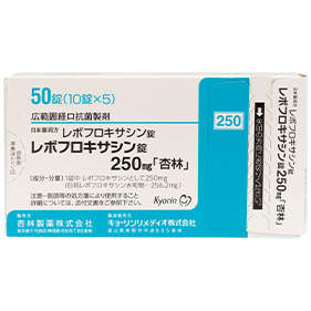 レボフロキサシン錠250mg「杏林」