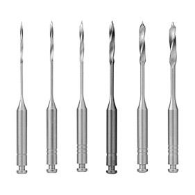 ピーソリーマ ラルゴ型