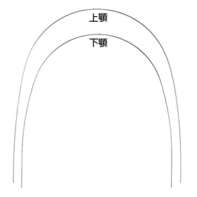 FEED NiTiアーチワイヤー
