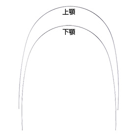 FEED SSアーチワイヤー