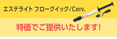 エステライト フロークイック/Cerv.