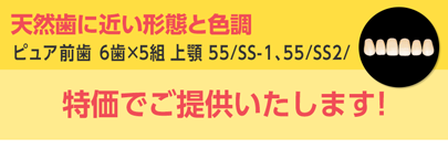 ピュア前歯 6歯×5組 上顎 55/SS-1